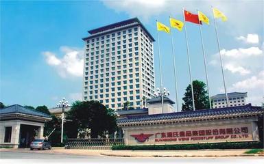 廣東云浮新誕生9位億萬富豪,財富共計463億?溫氏又雙叒叕刷屏了