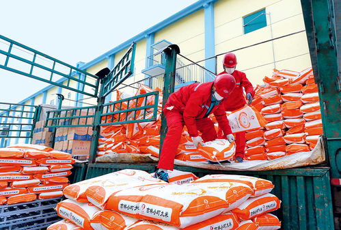 瞭望 扶貧要避免政策沒了,企業(yè)走了,項目黃了 專訪首農(nóng)食品集團(tuán)董事 首農(nóng)股份公司董事長尹彥勛